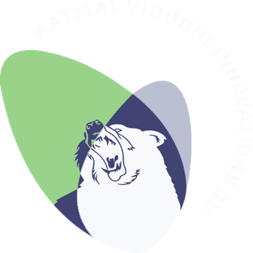 katmai vidoori innovations logo