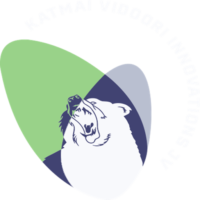 Katmai Vidoori Innovations